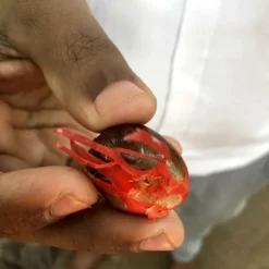 Macis Muskatblüte Gemahlen, BIO, 100g -Kaffeegetränkeladen 27612d91fd4dde3a639d0f64964ecebd